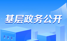 基層政務(wù)公開